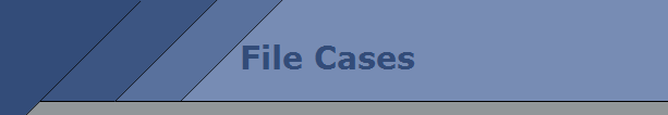 File Cases